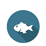 冷凍面點、預制食品